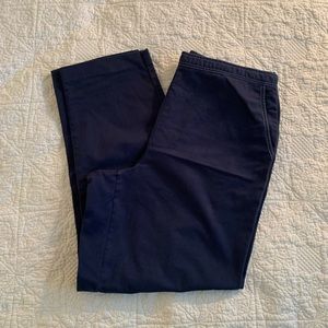 Alfred Dunner Blue Pants Size 16